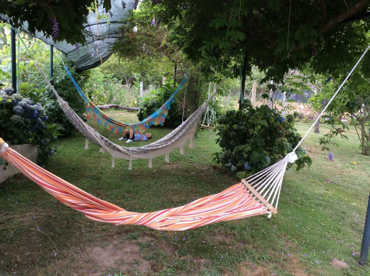 Apartmán Quinta Da Ribeirinha Arouca Exteriér fotografie